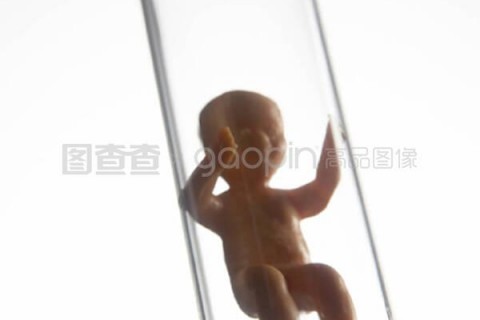 http://weifang.nbgk120.com/post/209.html|潍坊捐卵费用