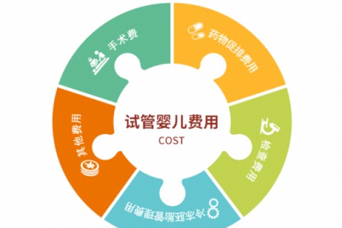 潍坊捐卵宝宝肚痛，父母该怎么办？